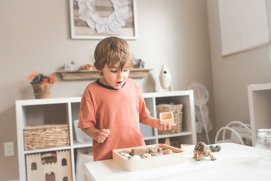play area