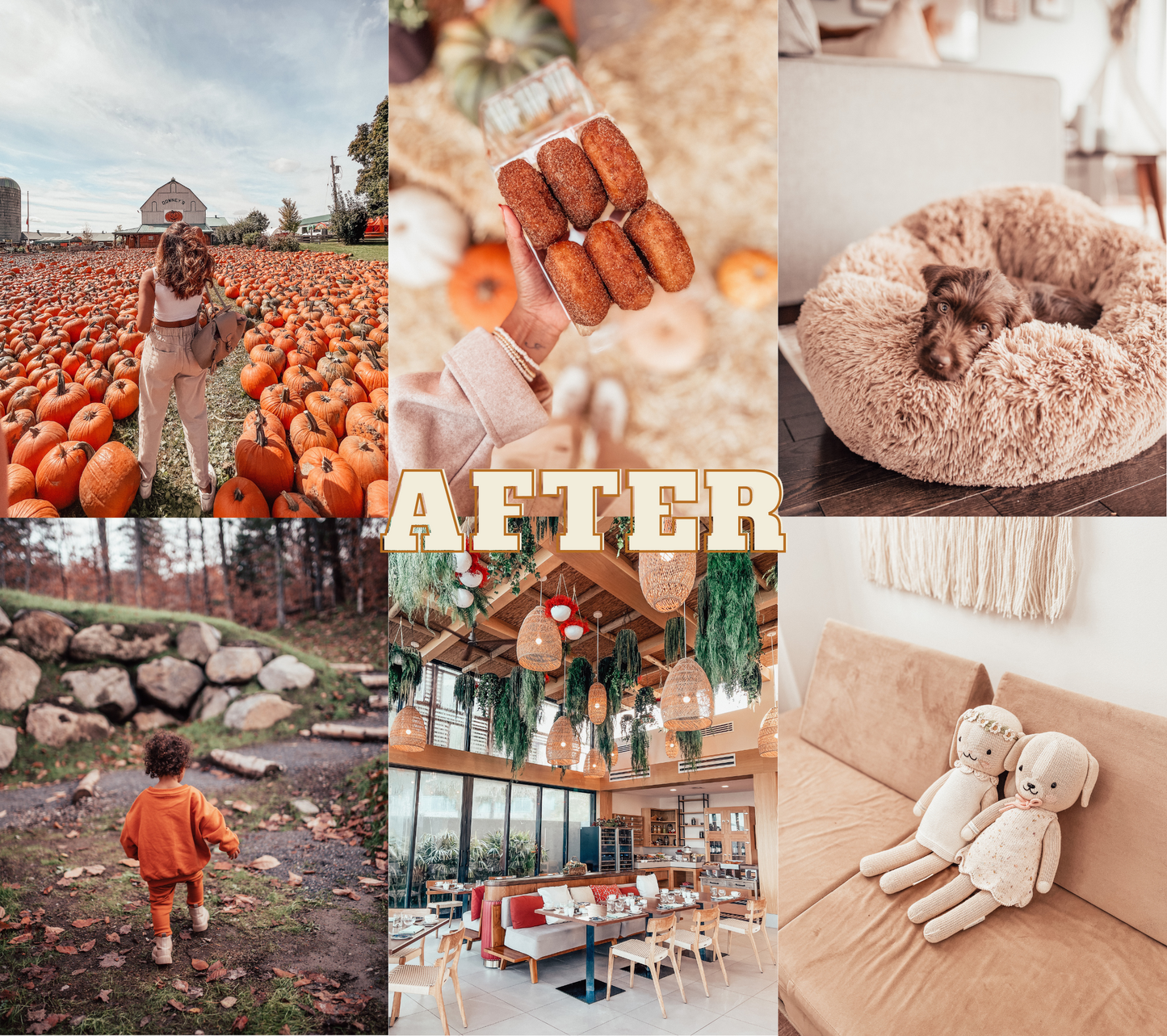 Chai - Mobile Lightroom Preset