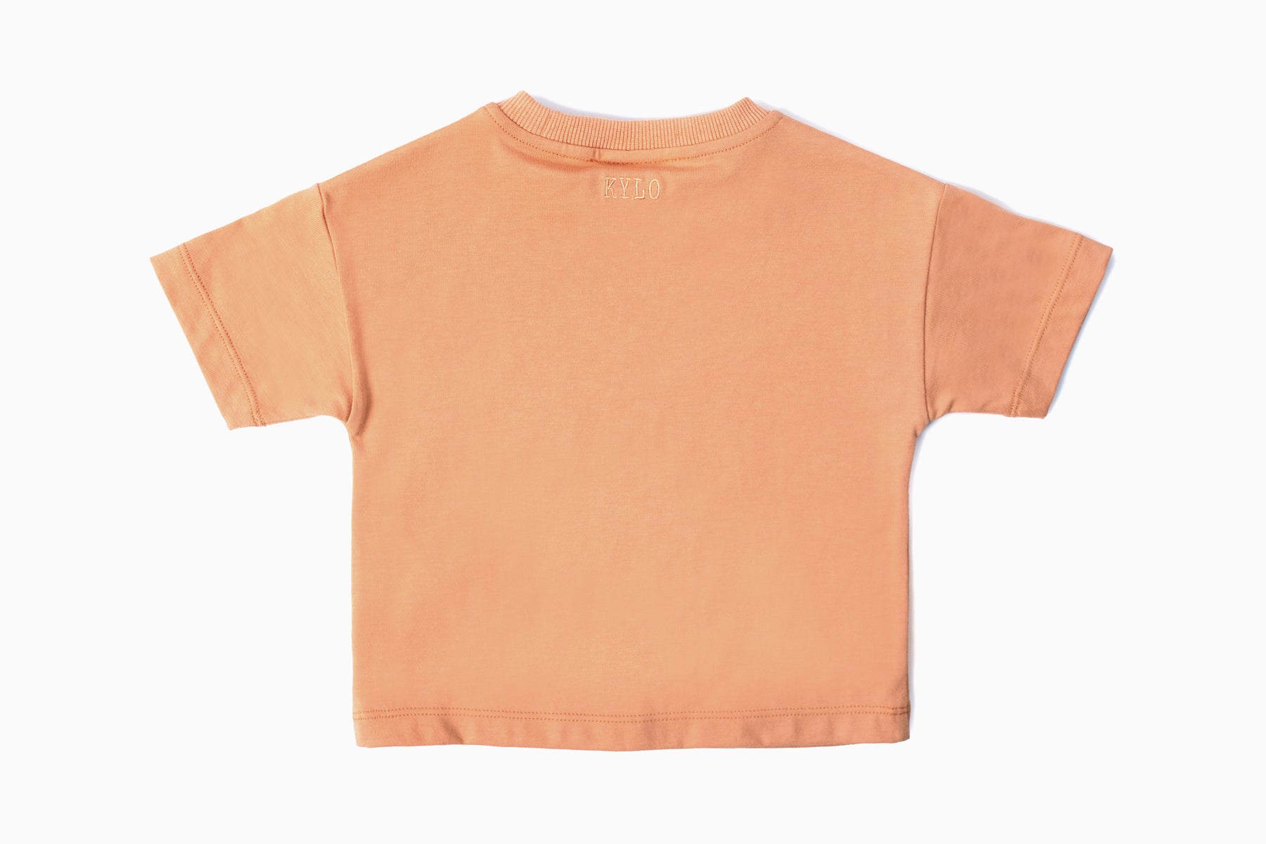 Baby Boy Summer Tee | Baby Boy T Shit | Kylo and Co.