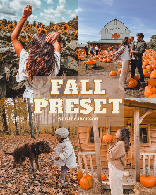 Fall - Mobile Lightroom Preset