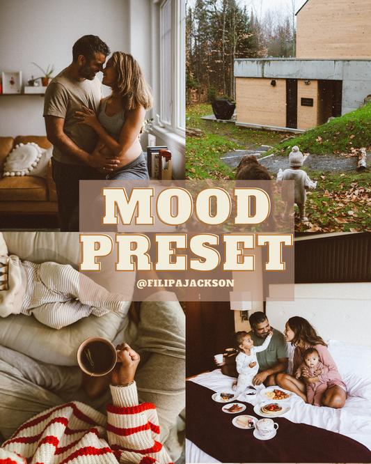 Mood - Mobile Lightroom Preset